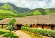 Green getaways: 8 best eco-friendly stays in India