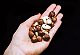 The many benefits of eating nuts