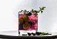 Easy summer cocktail recipes