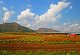 8 COOL reasons to visit Mahabaleshwar in summer