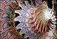 India Inc to give 11% salary hike to employees in FY13