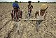 UPA's Land Law defective, posed threat to India's security: FM