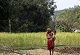 India Shining! Precious forest land wiped away for 23,716 industrial projects
