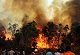 Odisha Man Arrested for Arson in Similipal Wildlife Sanctuary