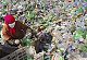 For FMCG biggies, plastic waste control is top priority