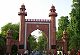 Oh, these self-appointed custodians of Islam and AMU!