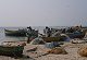 'If we fished only in Indian waters, we would starve to death'