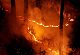 NGT issues notices to Uttarakhand, Himachal over forest fires