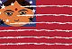 Indians in America are victims, not targets