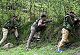 AFSPA: Repeal Won't Change Anything