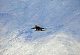 Ladakh: 'Be ready with boots, bricks, bandobast'