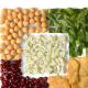 Wine-Infused Chickpea-Cucumber Salad: 10-Min Recipe