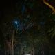 A Night Walk On Mumbai's New Nature Trail