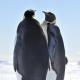 17 Pics Explaining Why Antarctica Is Otherworldly
