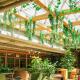 7 Green Offices Of India