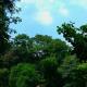 8 Indian States With The Most Forests
