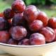 Get Plum Crazy: 8 Health Benefits