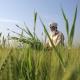 Want To Buy Farm Land? Read This Please