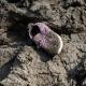 Pahalgam Attack: 'Munir Would Have Known'