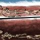 Sheena Bora Trial: Do Skeletons Rise?