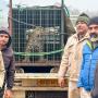 Himachal Pradesh Forest Department Seizes...