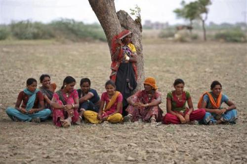 Village women rest under a tree as they migrated due to shortage of water on the outskirts of Sami town in Gujarat.