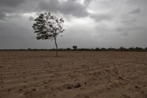 A dried agricultural farmland is pictured on the outskirts of Sami town in Gujarat.