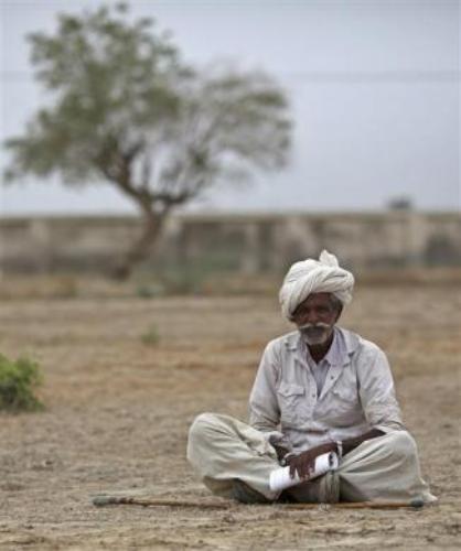 A farmer waits to receive the fodder being distributed by the government for cattle at Sami village in Gujarat.