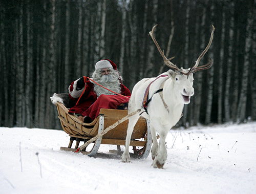 A man dressed as Santa Claus rides his sleigh as he prepares for Christmas on the Arctic Circle in Rovaniemi, northern Finland.