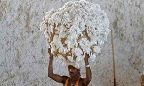 An employee works inside a cotton processing unit at Kadi town.