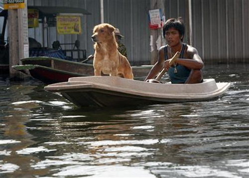 A man and his dog travel on a boat through a flooded street in Nonthaburi province, on the outskirts of Bangkok.