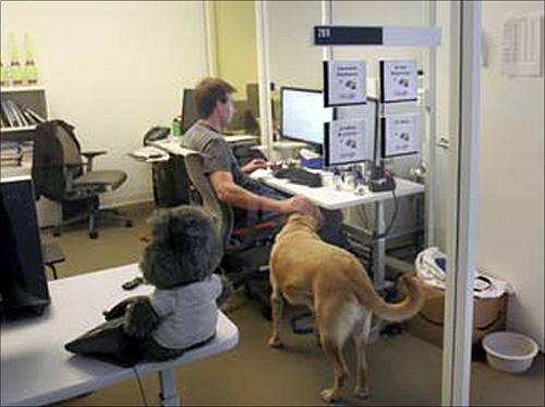 At the Google headquarters in Mountain View, California, an employee shares a moment with his dog in his office.