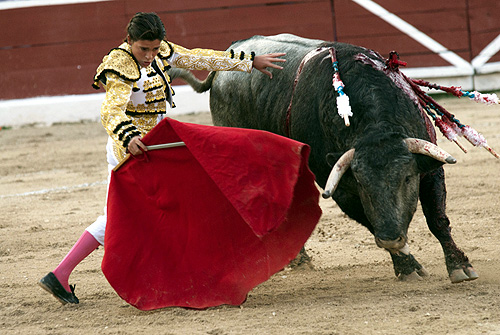 Mexican matador Michelito Lagravere performs a pass to a bull during a bullfight at the Plaza Monumental bullring in Merida.
