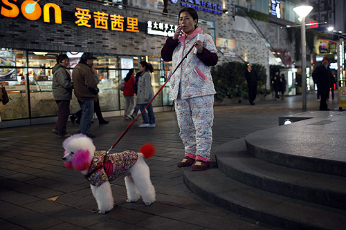 A woman smokes a cigarette as she walks her pet dog on a pedestrian street in downtown Shanghai.
