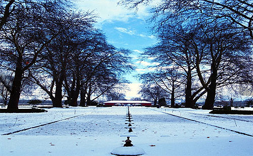 Shalimar Garden in Winter.