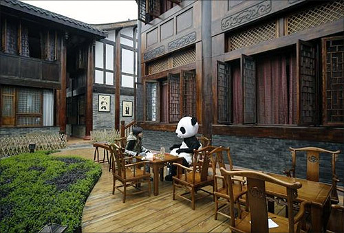 World's first panda themed hotel in China!