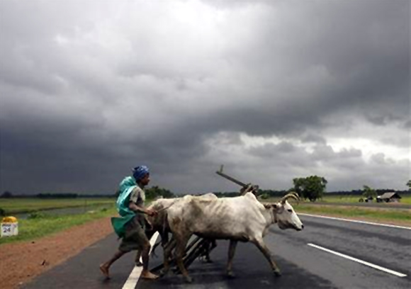 A farmer and his bullocks cross a highway against the backdrop of monsoon clouds in Singur, about 50 km northwest of Kolkata.