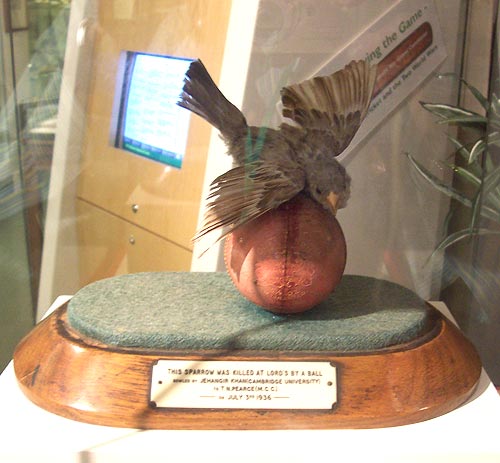 The sparrow that was killed by a ball bowled by Jehangir Khan at Lord's on July 3, 1936