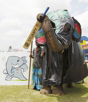An elephant stands next to a picture of the upcoming Cricket World Cup in 2011 mascot in Colombo