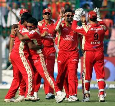 Royal Challengers players celebrate after Sehwag is dismissed