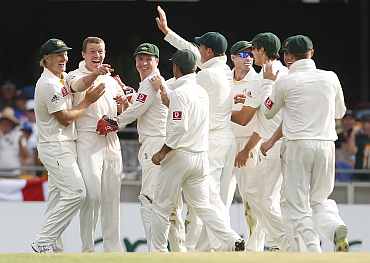 Peter Siddle celebrates after picking up an Ashes hat-trick in Brisbane