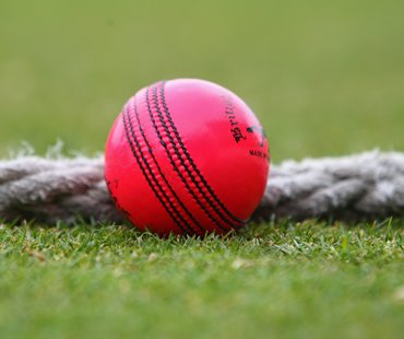 The pink ball that was trialed by the Marylebone Cricket Club