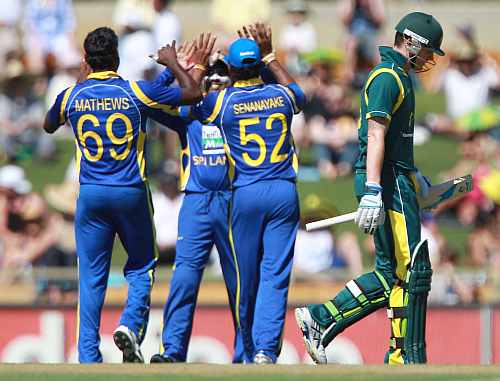 Sri Lankan players celebrate after a fall of an Australian wicket