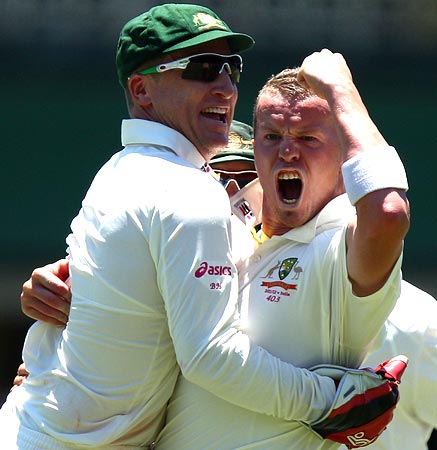 Peter Siddle (right) celebrates with Brad Haddin after claiming the wicket of Virat Kohli