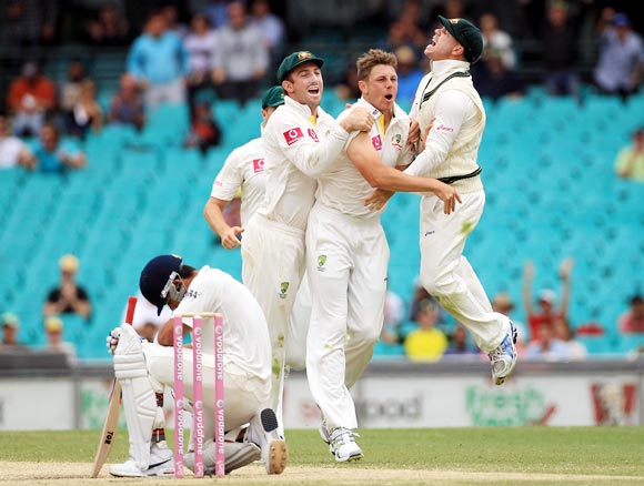 The Australian team celebrates as Virat Kohli sits dejected after his dismissal during the Sydney Test