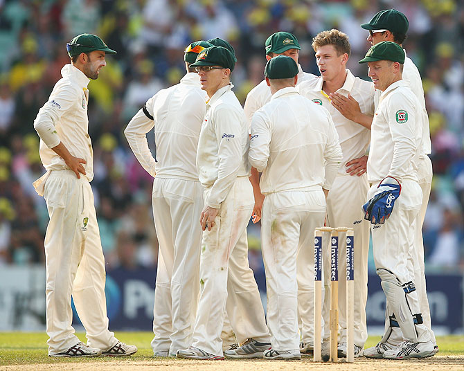 The Australian players celebrate a wicket