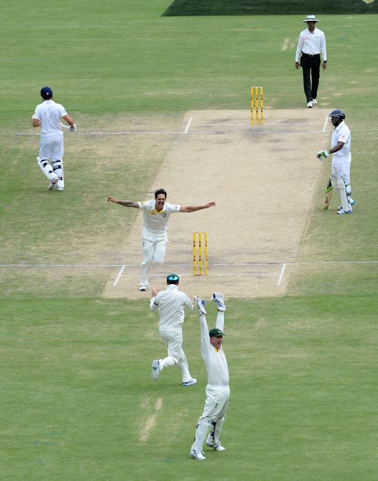 Mitchell Johnson celebrates after dismissing Alastair Cook
