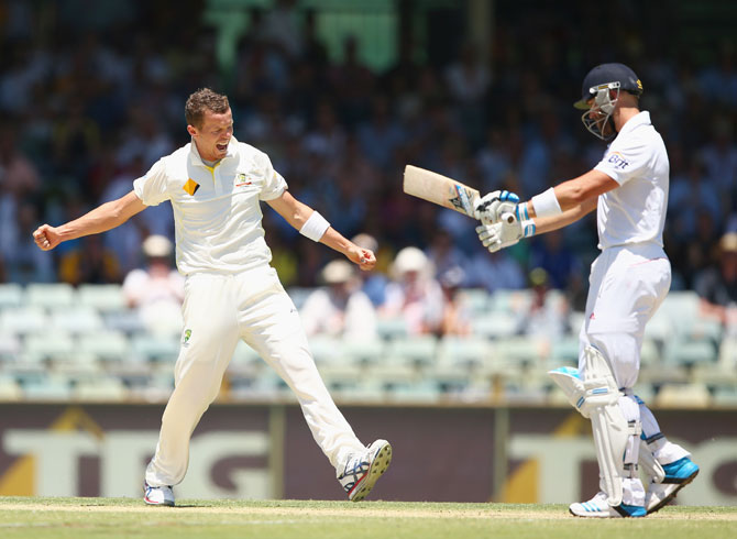 Peter Siddle of Australia celebrates taking the wicket of Matt Prior of England