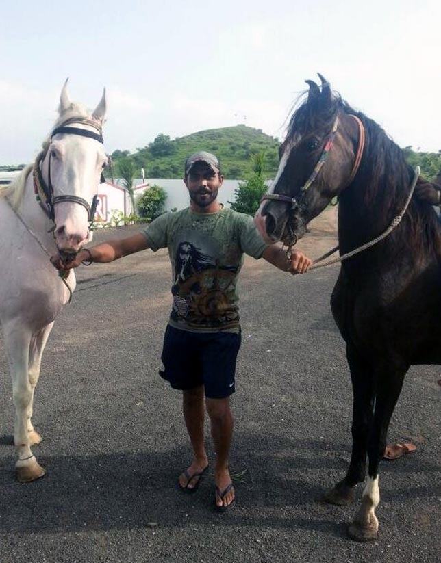 Ravindra Jadeja with his horses Kesar and Ganga