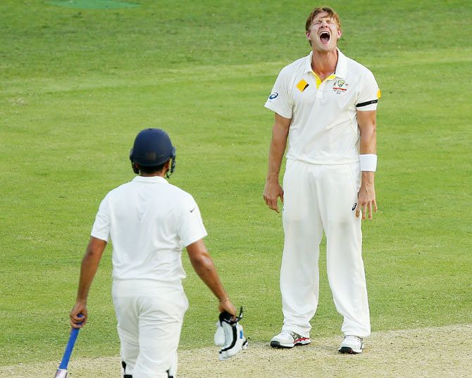 Shane Watson lets out a scream in frustration